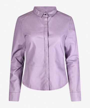 Studio AR by Arma Dita orchid