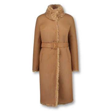 Arma Jill Merino Teddy Honey